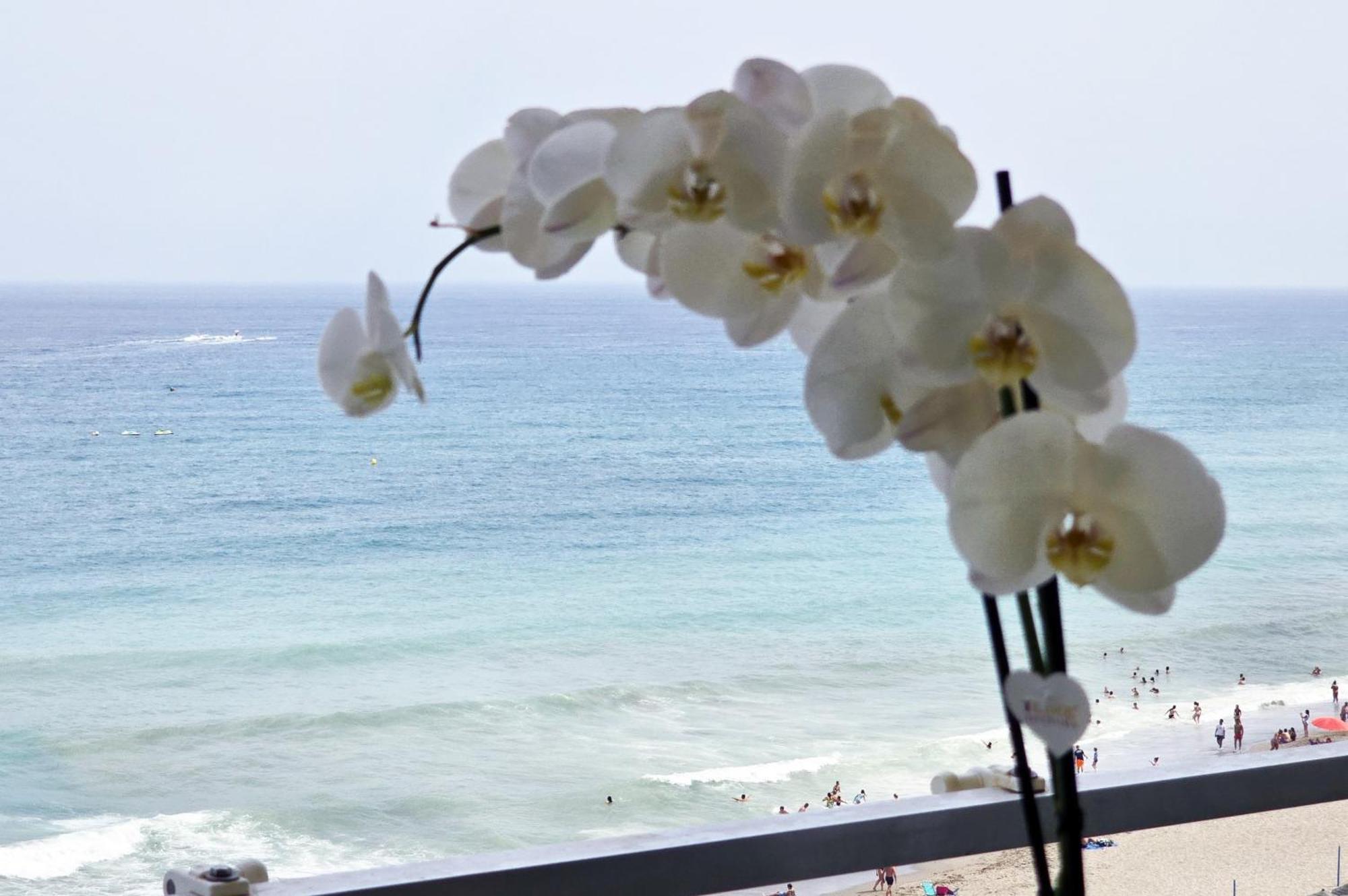 Appartamento Aa Guest - Sky Center Beachfront Sea Views Eco